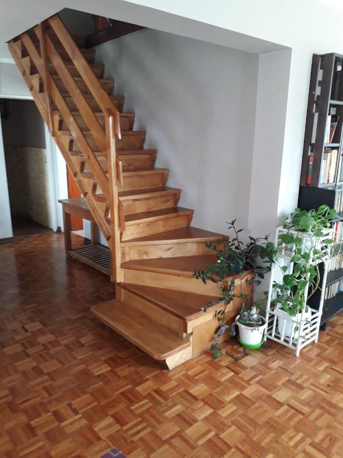 Bed and Breakfast La Casa Del Mono Ушуая Экстерьер фото